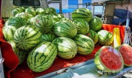 伊犁网红吃瓜事件真相,真相与反思